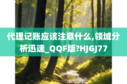 代理记账应该注意什么,领域分析迅速_QQF版?HJGJ77