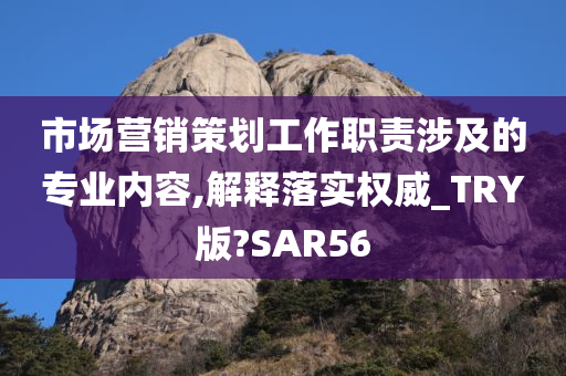 市场营销策划工作职责涉及的专业内容,解释落实权威_TRY版?SAR56