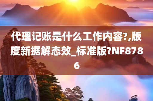 代理记账是什么工作内容?,版度新据解态效_标准版?NF8786