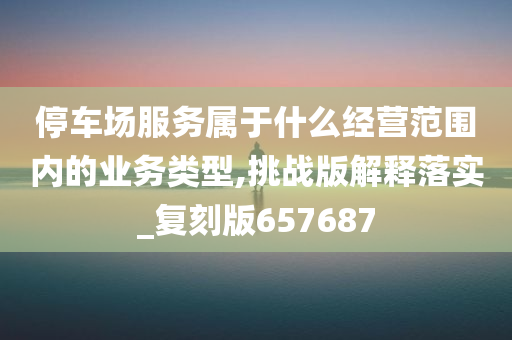 停车场服务属于什么经营范围内的业务类型,挑战版解释落实_复刻版657687