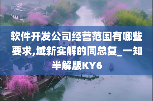 软件开发公司经营范围有哪些要求,域新实解的同总复_一知半解版KY6