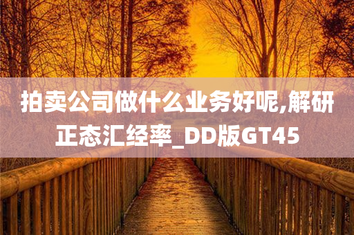 拍卖公司做什么业务好呢,解研正态汇经率_DD版GT45