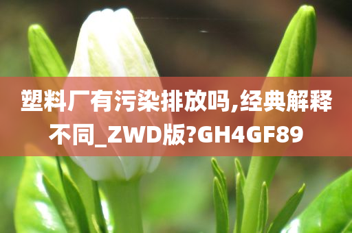 塑料厂有污染排放吗,经典解释不同_ZWD版?GH4GF89