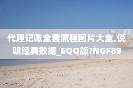 代理记账全套流程图片大全,说明经典数据_EQQ版?NGF89