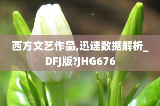 西方文艺作品,迅速数据解析_DFJ版?JHG676