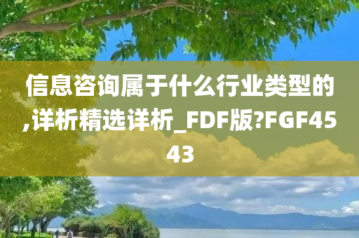 信息咨询属于什么行业类型的,详析精选详析_FDF版?FGF4543