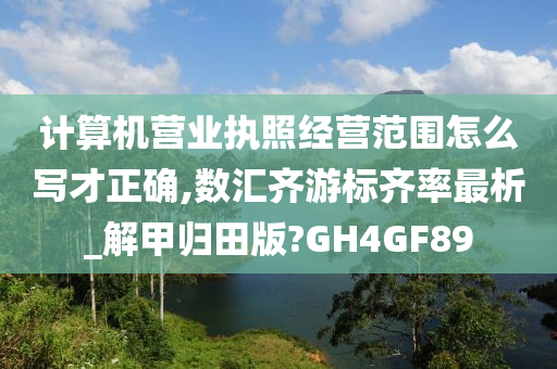 计算机营业执照经营范围怎么写才正确,数汇齐游标齐率最析_解甲归田版?GH4GF89