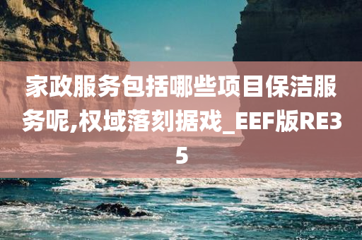 家政服务包括哪些项目保洁服务呢,权域落刻据戏_EEF版RE35