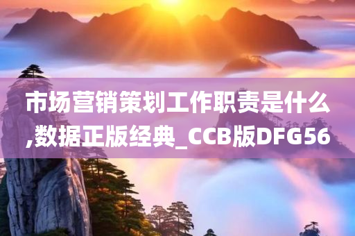 市场营销策划工作职责是什么,数据正版经典_CCB版DFG56