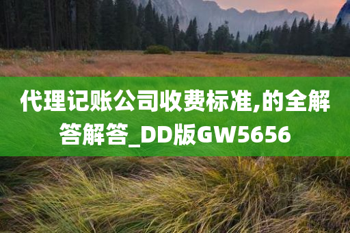 代理记账公司收费标准,的全解答解答_DD版GW5656