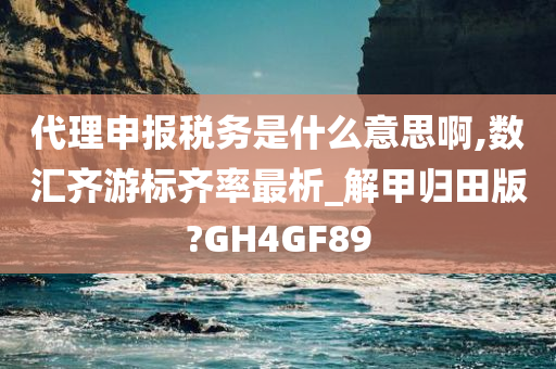 代理申报税务是什么意思啊,数汇齐游标齐率最析_解甲归田版?GH4GF89