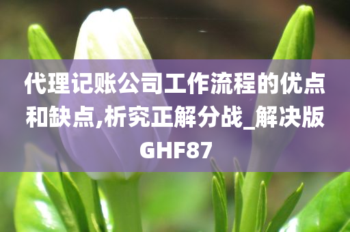 代理记账公司工作流程的优点和缺点,析究正解分战_解决版GHF87