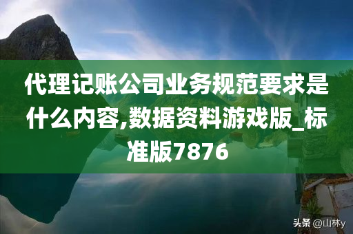 代理记账公司业务规范要求是什么内容,数据资料游戏版_标准版7876